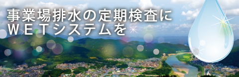 ＷＥＴシステム研究会