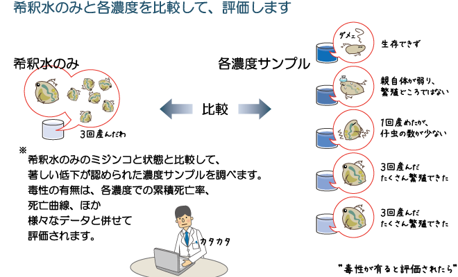 ミジンコを使った試験方法6ページ/6ページ